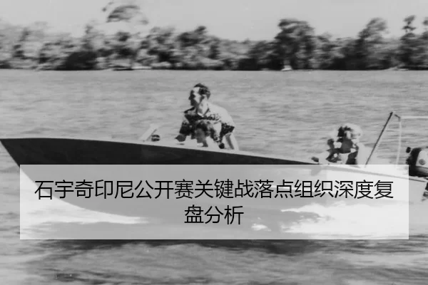 shi-yu-qi-yin-ni-gong-kai-sai-guan-jian-zhan-luo-dian-zu-zhi-shen-du-fu-pan-fen-xi-2-424.jpg