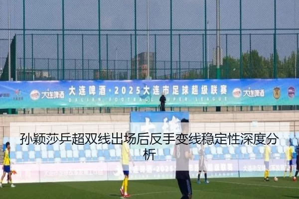 sun-ying-sha-ping-chao-shuang-xian-chu-chang-hou-fan-shou-bian-xian-wen-ding-xing-shen-du-fen-xi-2-316.jpg